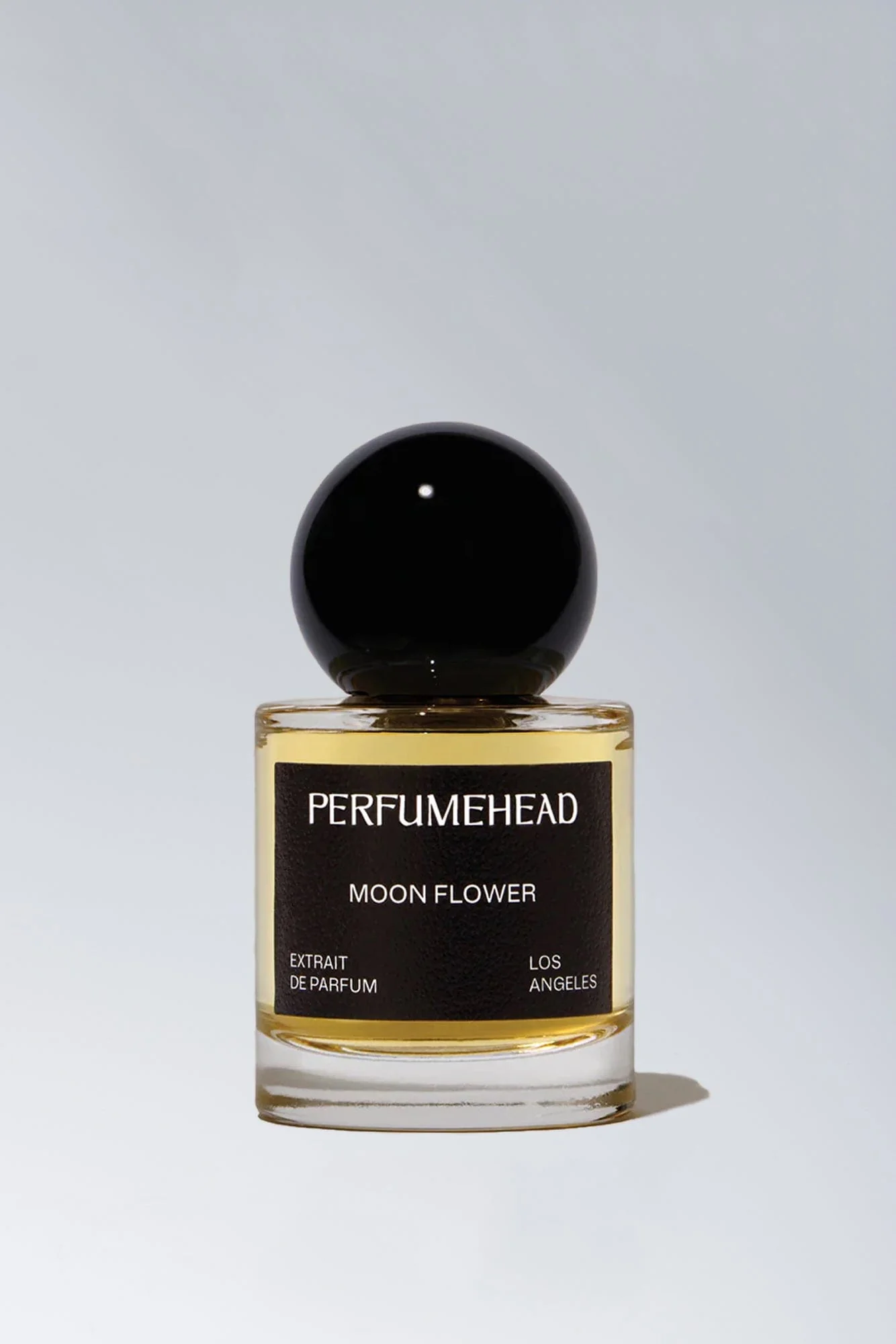 Perfumehead Moon Flower