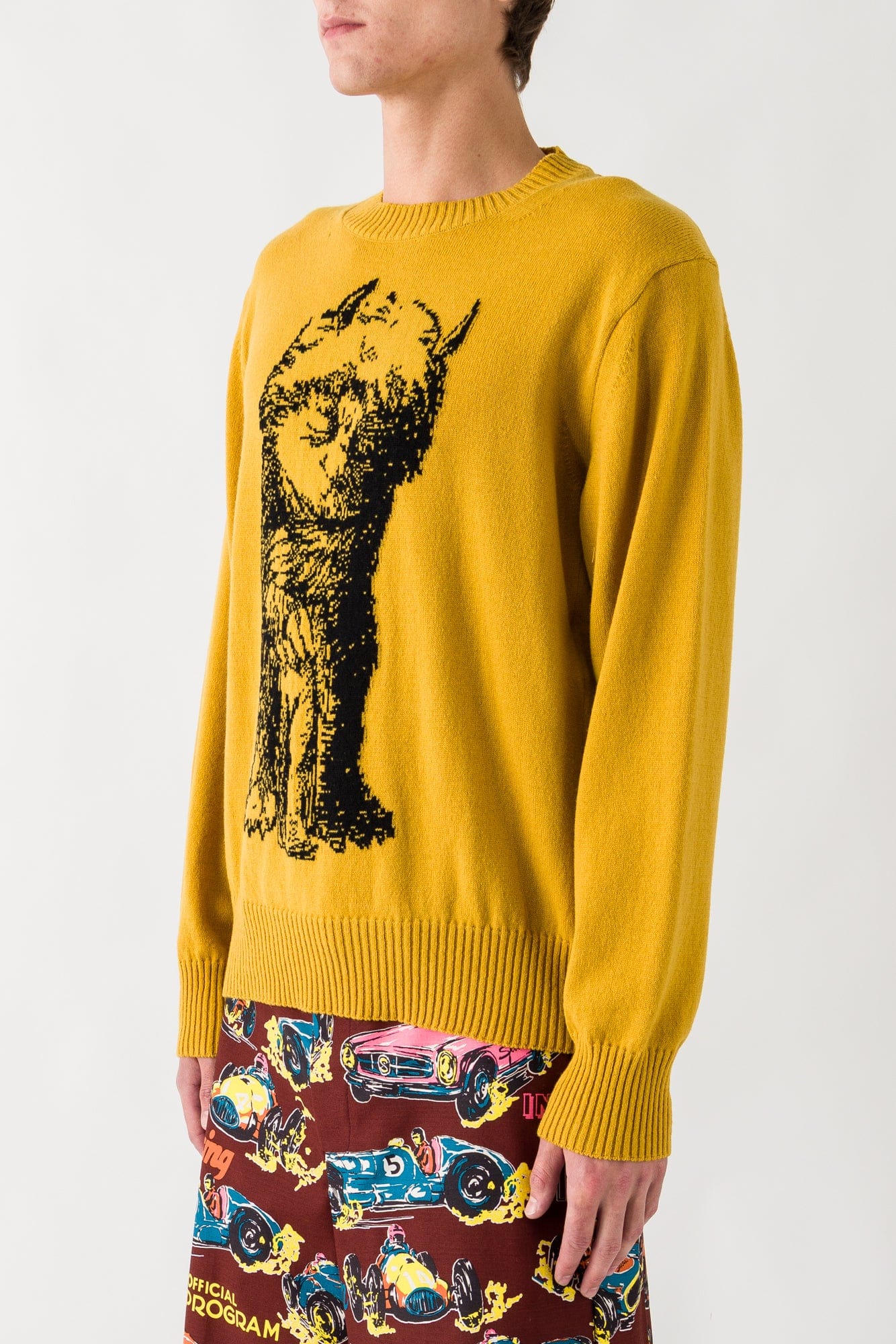 Sacai Where the Wild things Are Knit - Image 2